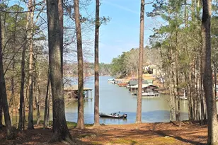 225 Tanager Ct, Monticello, GA 31064 - Photo 50