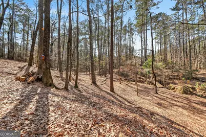 225 Tanager Ct, Monticello, GA 31064 - Photo 54