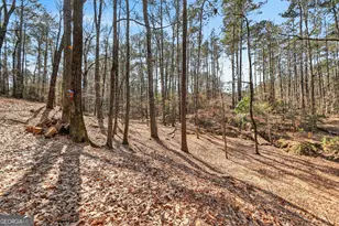 225 Tanager Ct, Monticello, GA 31064 - Photo 54