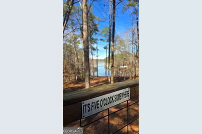 225 Tanager Ct, Monticello, GA 31064 - Photo 10