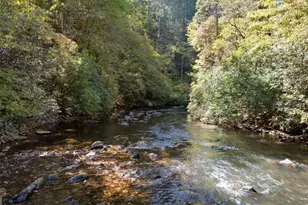 1062 River Bend Rd, Ellijay, GA 30540 - Photo 70