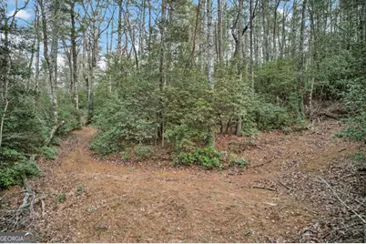 496 John Crow Road, Dahlonega, GA 30533 - Photo 60