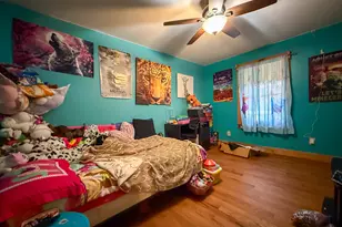 161 Twisting Ridge Trail, Demorest, GA 30535 - Photo 12