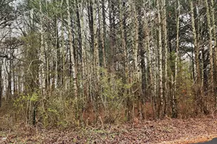 0 Peppers Rd, Bishop, GA 30621 - Photo 1