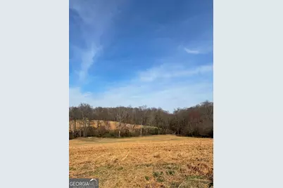 3794 Highway 106 N, Danielsville, GA 30633 - Photo 8