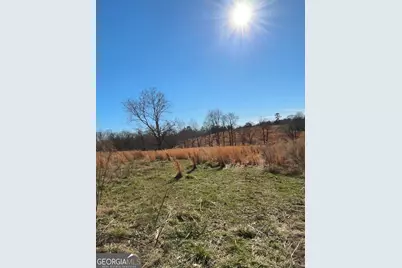 3794 Highway 106 N, Danielsville, GA 30633 - Photo 4