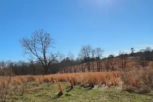 3794 Hwy 106 N, Danielsville, GA 30633 - Photo 4