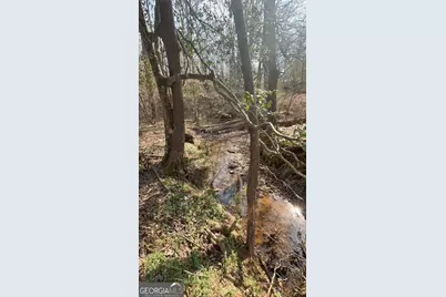 3794 Highway 106 N, Danielsville, GA 30633 - Photo 14