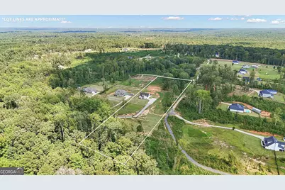 150 Wild Boar Way, Newnan, GA 30263 - Photo 58