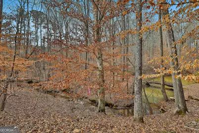 124 Wilmington Court, Newnan, GA 30263 - Photo 38