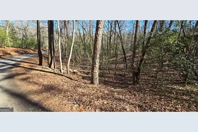 Lot 12 Oak Loop #12, Mineral Bluff, GA 30559 - Photo 14