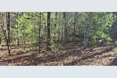 Lot 12 Oak Loop #12, Mineral Bluff, GA 30559 - Photo 4