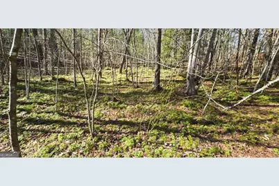 Lot 12 Oak Loop #12, Mineral Bluff, GA 30559 - Photo 10