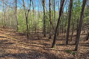 Lot 12 Oak Loop, Mineral Bluff, GA 30559 - Photo 1