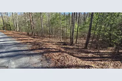 Lot 12 Oak Loop #12, Mineral Bluff, GA 30559 - Photo 2