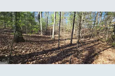 Lot 12 Oak Loop #12, Mineral Bluff, GA 30559 - Photo 12
