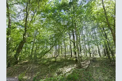 0 Lambert Lane, Sylvester, GA 31791 - Photo 6