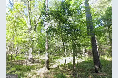 0 Lambert Lane, Sylvester, GA 31791 - Photo 2