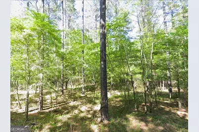 0 Lambert Lane, Sylvester, GA 31791 - Photo 4