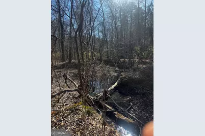 0 Thaxton Rd, Rayle, GA 30660 - Photo 12