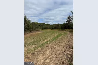 0 Thaxton Rd, Rayle, GA 30660 - Photo 16