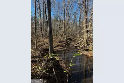 0 Thaxton Rd, Rayle, GA 30660 - Photo 14