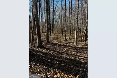 0 Thaxton Rd, Rayle, GA 30660 - Photo 8