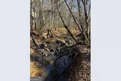 0 Thaxton Rd, Rayle, GA 30660 - Photo 2