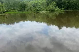 475 Harbour Shores, Jackson, GA 30233 - Photo 20