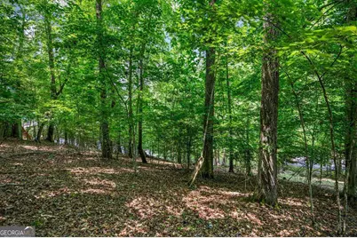 Lot 25 Talon Trace, Blairsville, GA 30512 - Photo 14