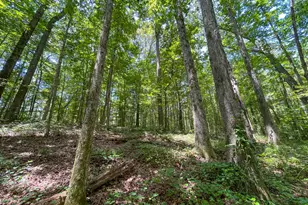 305 West Dr, Roopville, GA 30170 - Photo 64