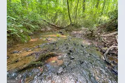 305 West Drive, Roopville, GA 30170 - Photo 6