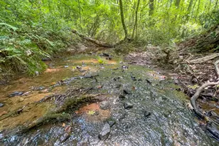 305 West Dr, Roopville, GA 30170 - Photo 6