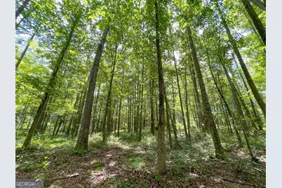 305 West Drive, Roopville, GA 30170 - Photo 62