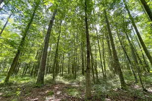 305 West Dr, Roopville, GA 30170 - Photo 62