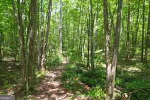 305 West Dr, Roopville, GA 30170 - Photo 4