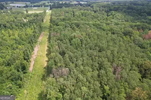 305 West Dr, Roopville, GA 30170 - Photo 12