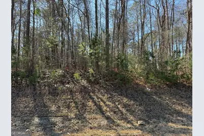 0 New Hutchinson Mill Road, Lagrange, GA 30240 - Photo 2