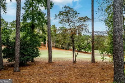 1050 Curtright Place, Greensboro, GA 30642 - Photo 68