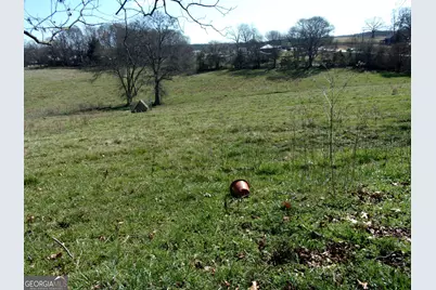 6615 Hwy 174, Danielsville, GA 30633 - Photo 6