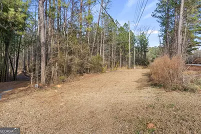 0 Chestnut Road, Covington, GA 30016 - Photo 4