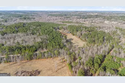 0 Chestnut Road, Covington, GA 30016 - Photo 10