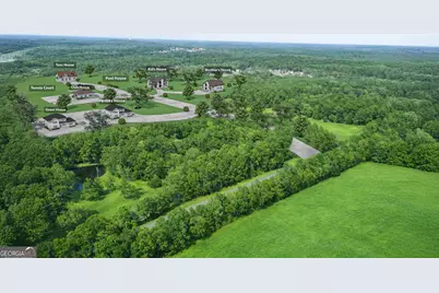 0 Chestnut Road, Covington, GA 30016 - Photo 1