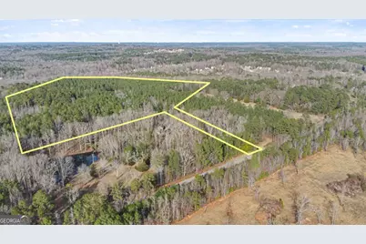 0 Chestnut Road, Covington, GA 30016 - Photo 8