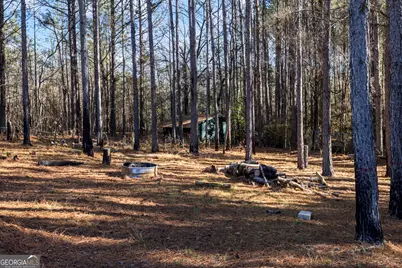 618 Welcome To Arnco Road, Newnan, GA 30263 - Photo 30