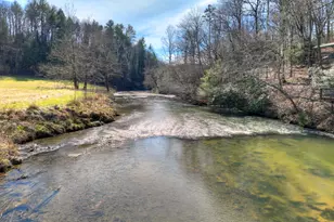 116 Davis Ln, Ellijay, GA 30540 - Photo 4