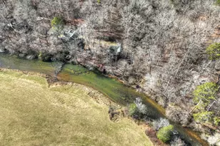 116 Davis Ln, Ellijay, GA 30540 - Photo 54