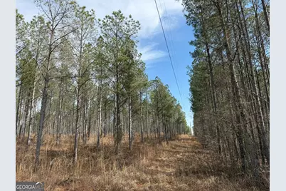 001 Allen Road, Musella, GA 31066 - Photo 10