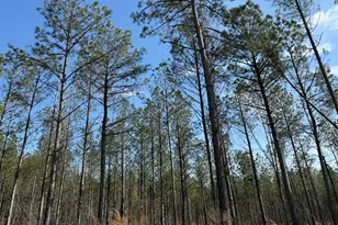 001 Allen Rd, Musella, GA 31066 - Photo 1