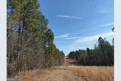001 Allen Road, Musella, GA 31066 - Photo 6
